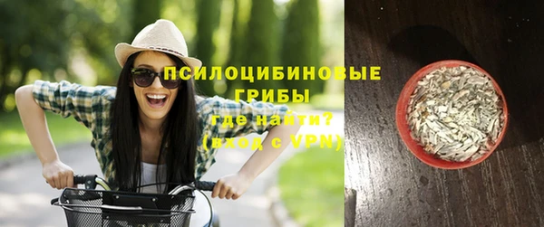 дурь Алзамай