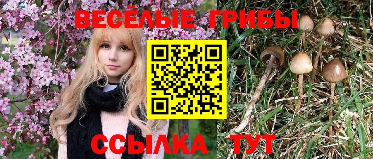 Псилоцибиновые грибы прущие грибы  Галлюциногенные грибы Magic Shrooms  Вход с VPN  Ялта 
