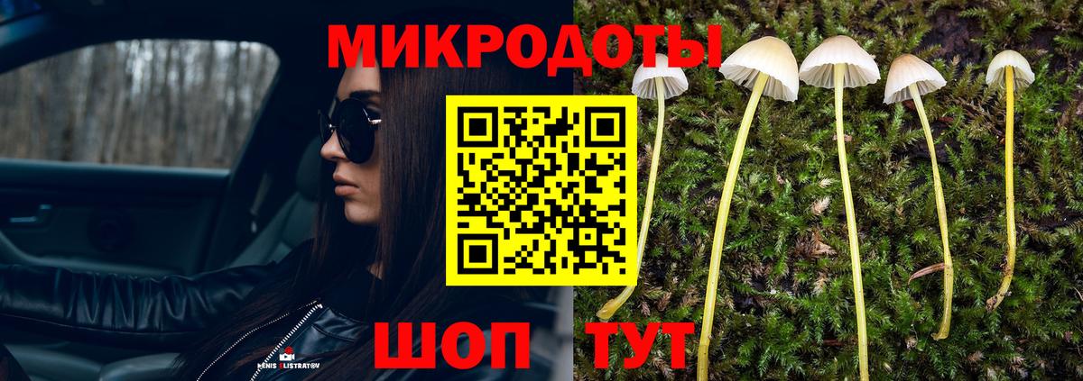 Псилоцибиновые грибы GOLDEN TEACHER Ялта
